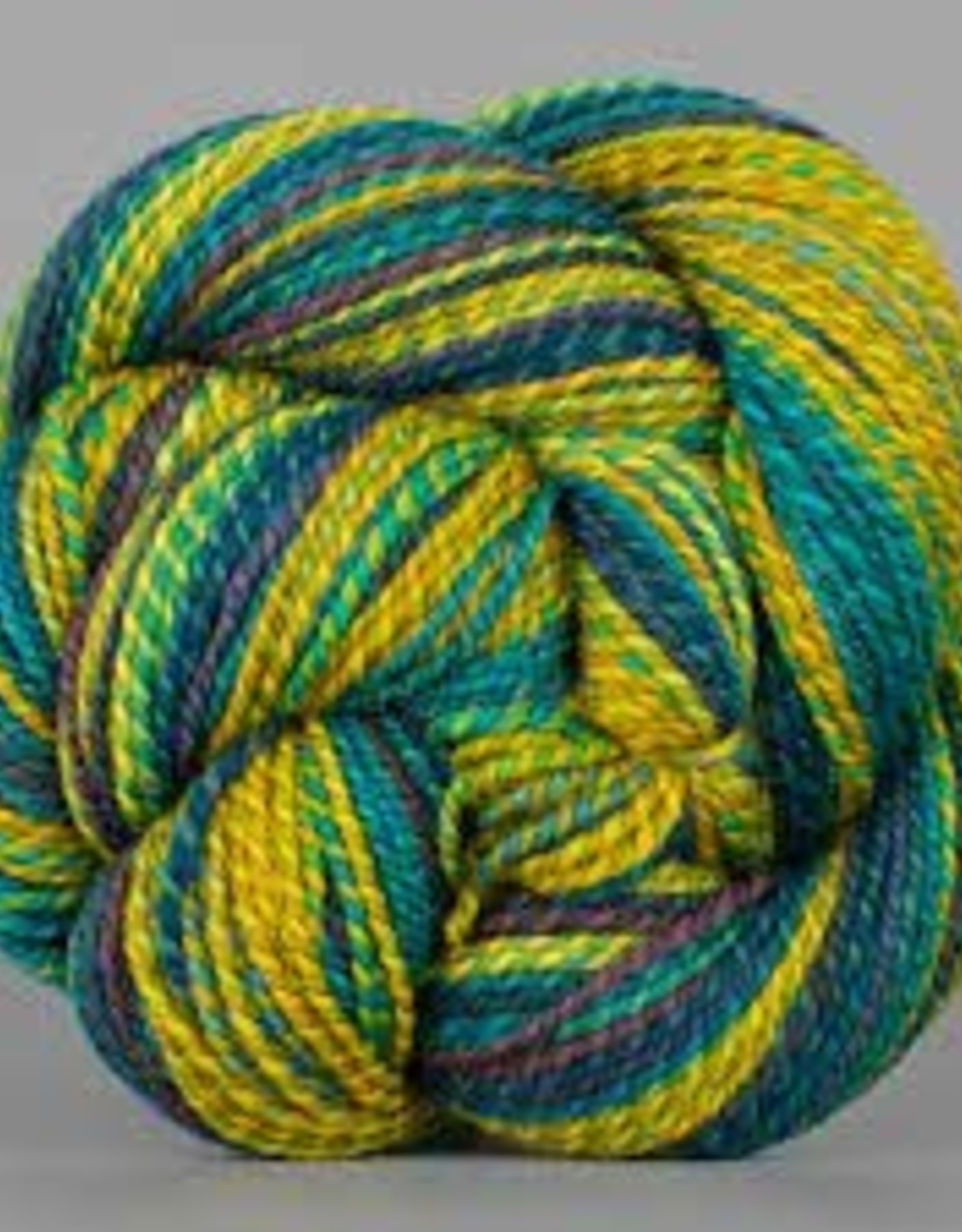 Spincycle Yarns Dyed in the Wool Afternoon Delight