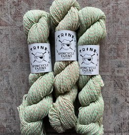 Spincycle Yarns Trine 45*