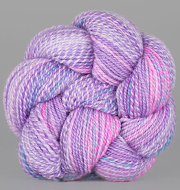 Spincycle Yarns Dyed in the Wool Dear Diary