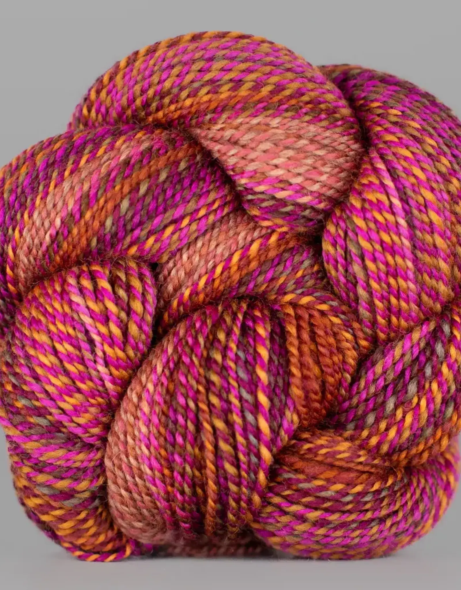 Spincycle Yarns Dyed in the Wool Dirty Little Secret