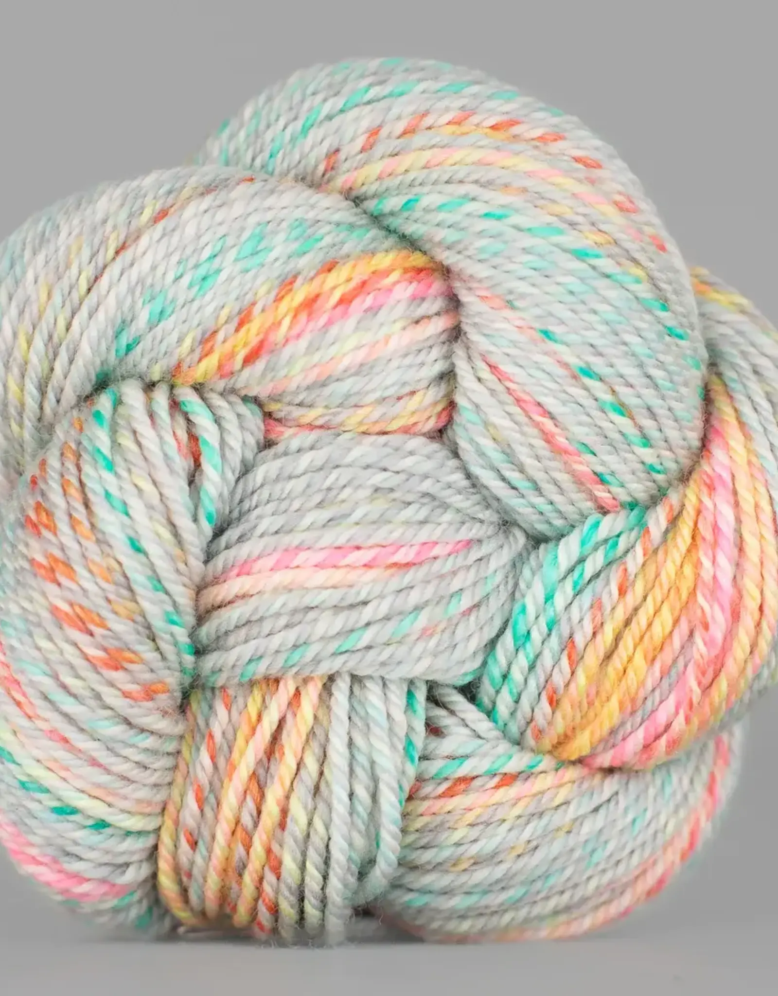 Spincycle Yarns Dream State Big Sky