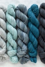 Manos del Uruguay Fino Mini Skein Kit