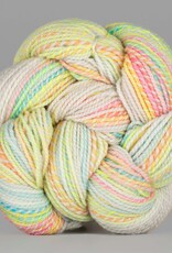 Spincycle Yarns Dyed in the Wool Big Sky