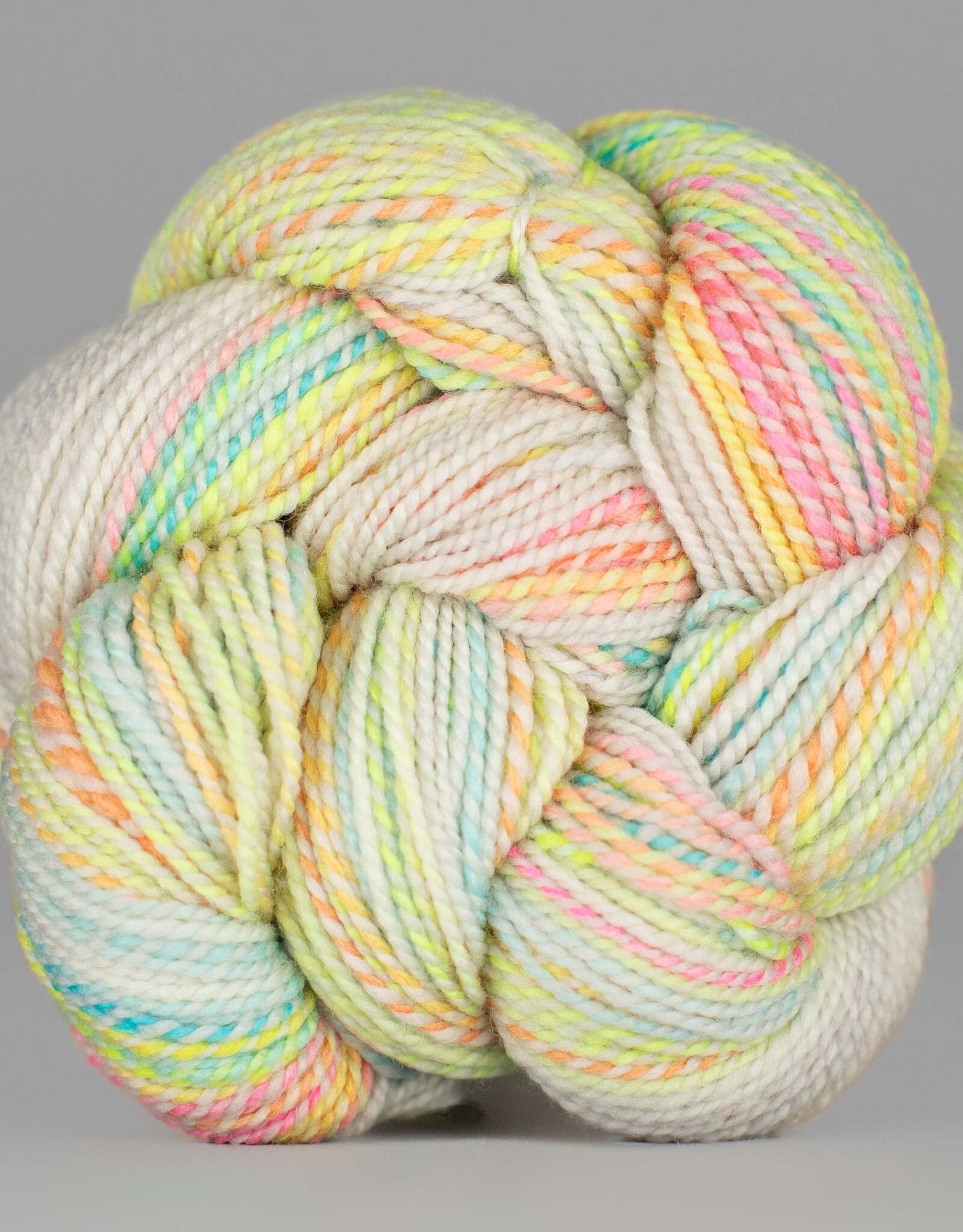 Spincycle Yarns Dyed in the Wool Big Sky