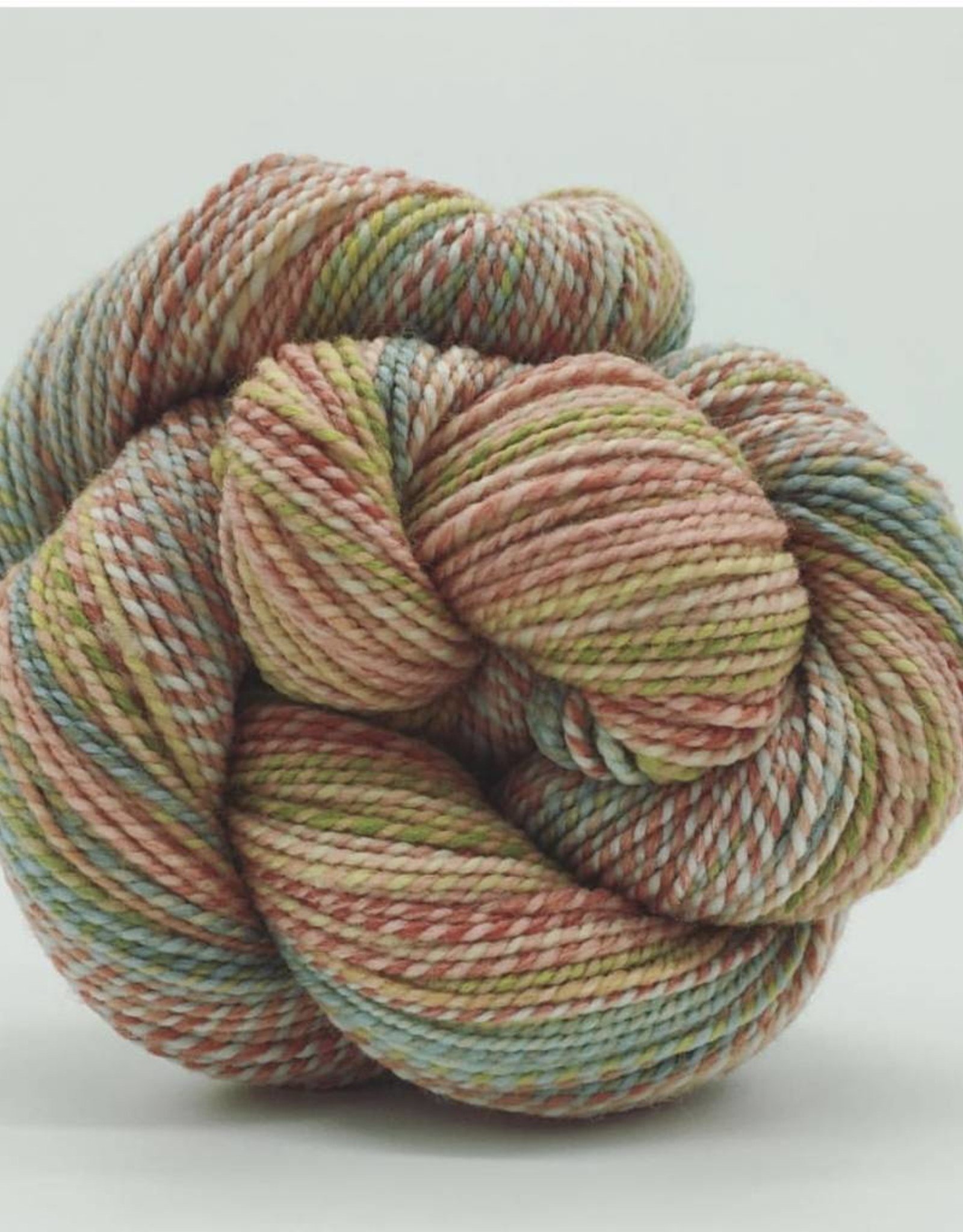 Spincycle Yarns Dyed In The Wool Verba Volant