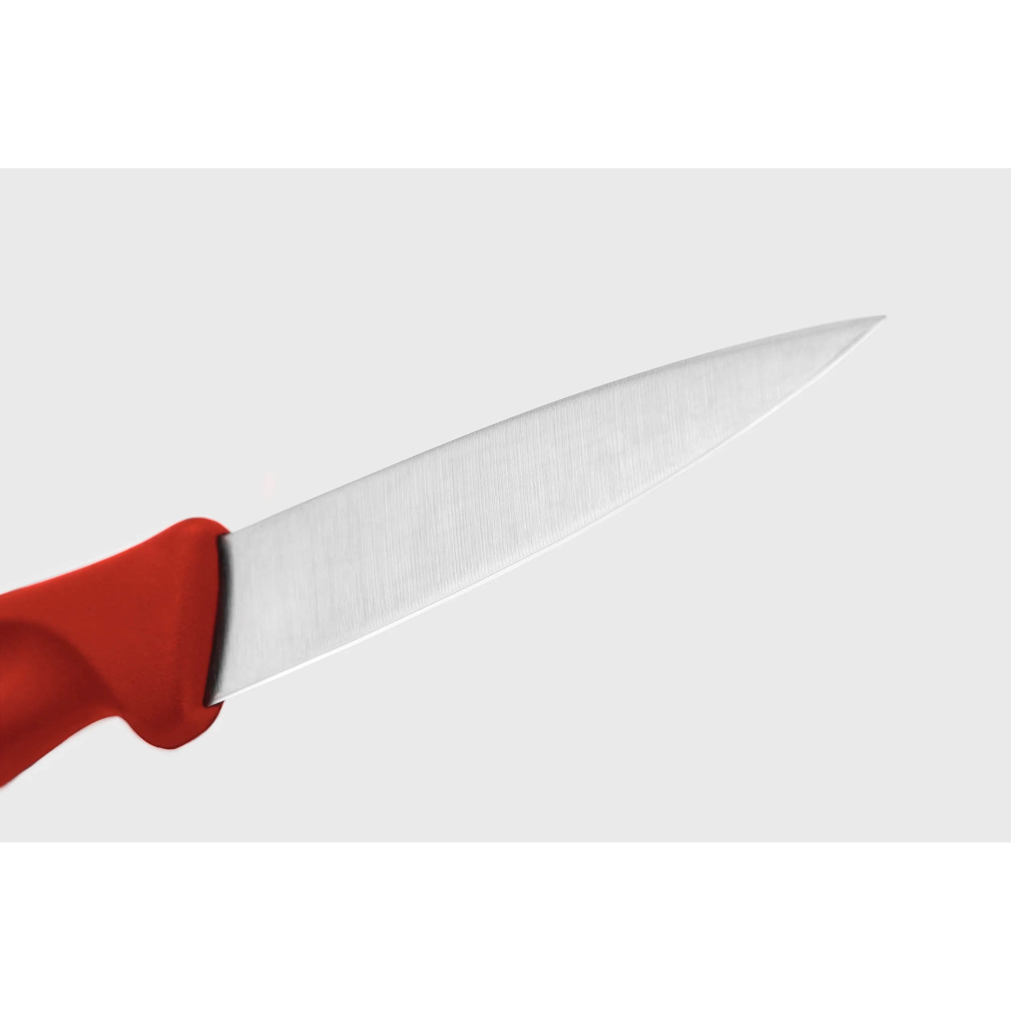 3 Inch Clip Point Paring Knife - Creative Kitchen Fargo