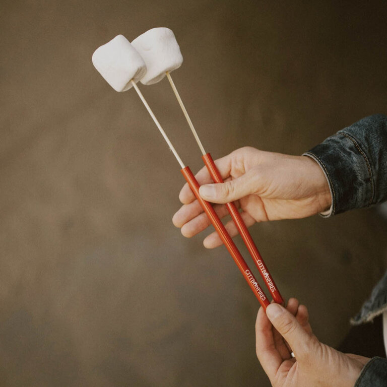 Portable Reusable Skewer 4pk IA