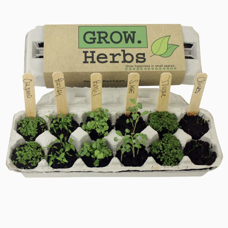Herb Garden Seed Grow Kit-OLO
