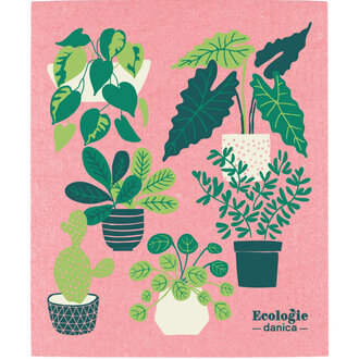 Danica Swedish Dishcloth Plants