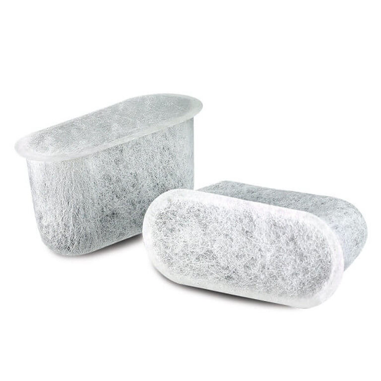 Replacement Charcoal Water Filters Set of 2