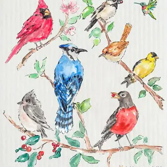 Swedish Dish Cloth Backyard Bird Buddies Swedish Dish Cloth Backyard Bird Buddies