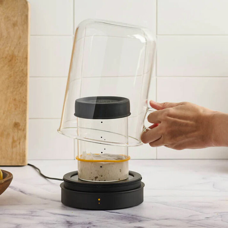 Sourhouse Goldie By Sourhouse Sourdough Starter Home