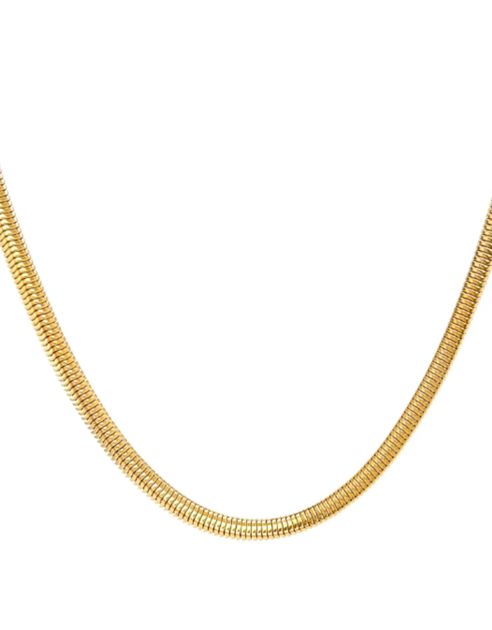 Cleo Chain Necklace