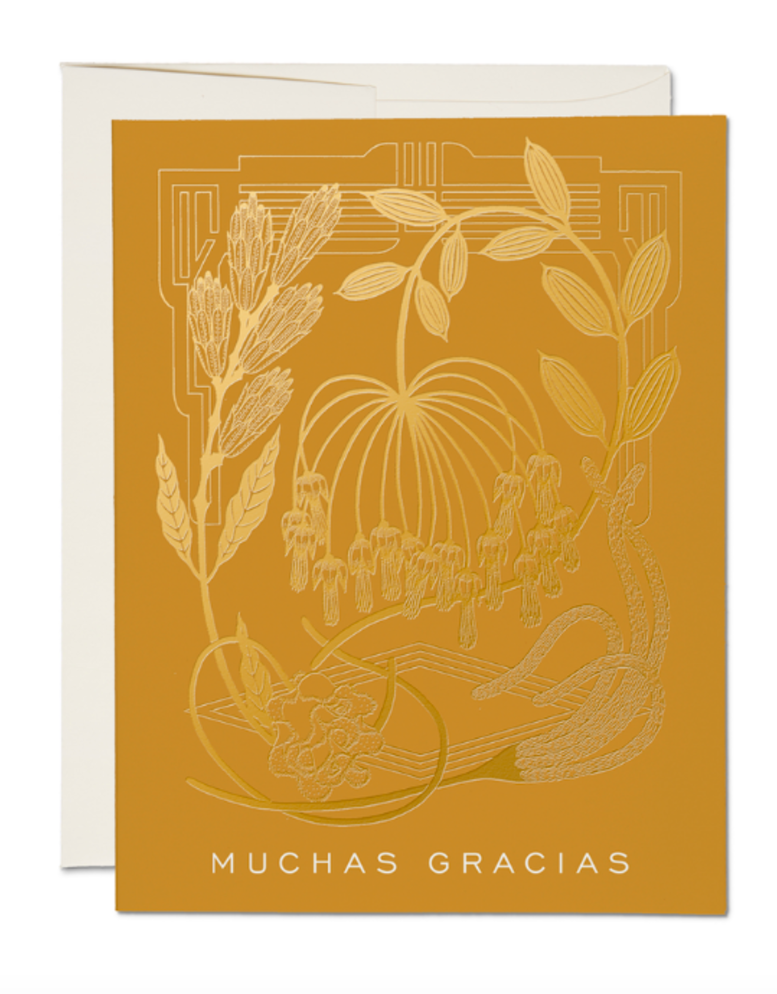 Mustard Muchas Gracias Card