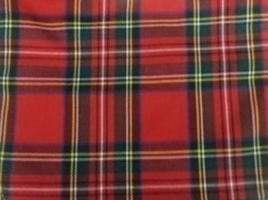 Tartan Tots Tartan Fleece Baby Blanket