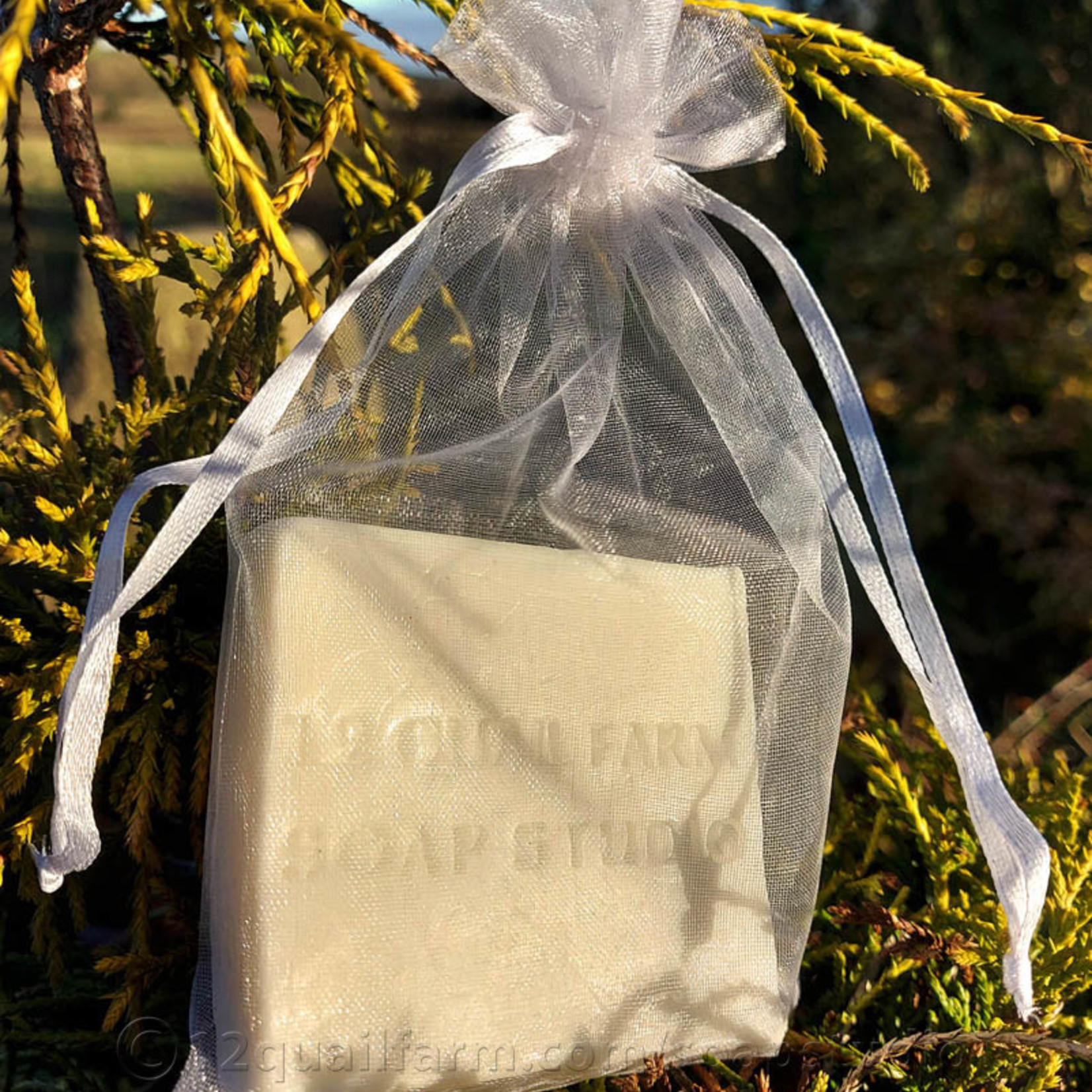 12 Quail Farm Soap Studio Fragrance Free Donkey's Milk Soap