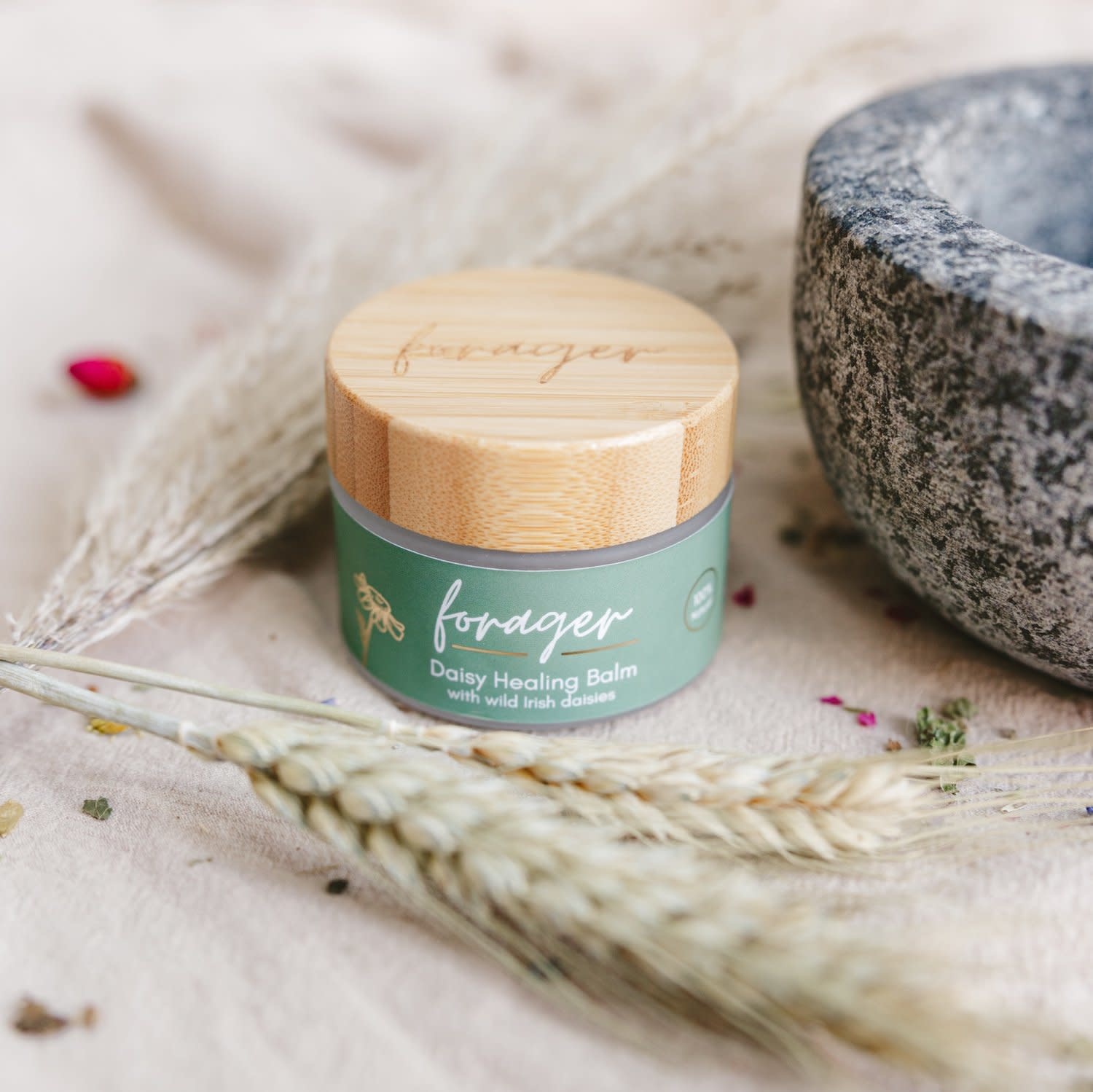 Forager Irish Daisy Balm (Lavender)