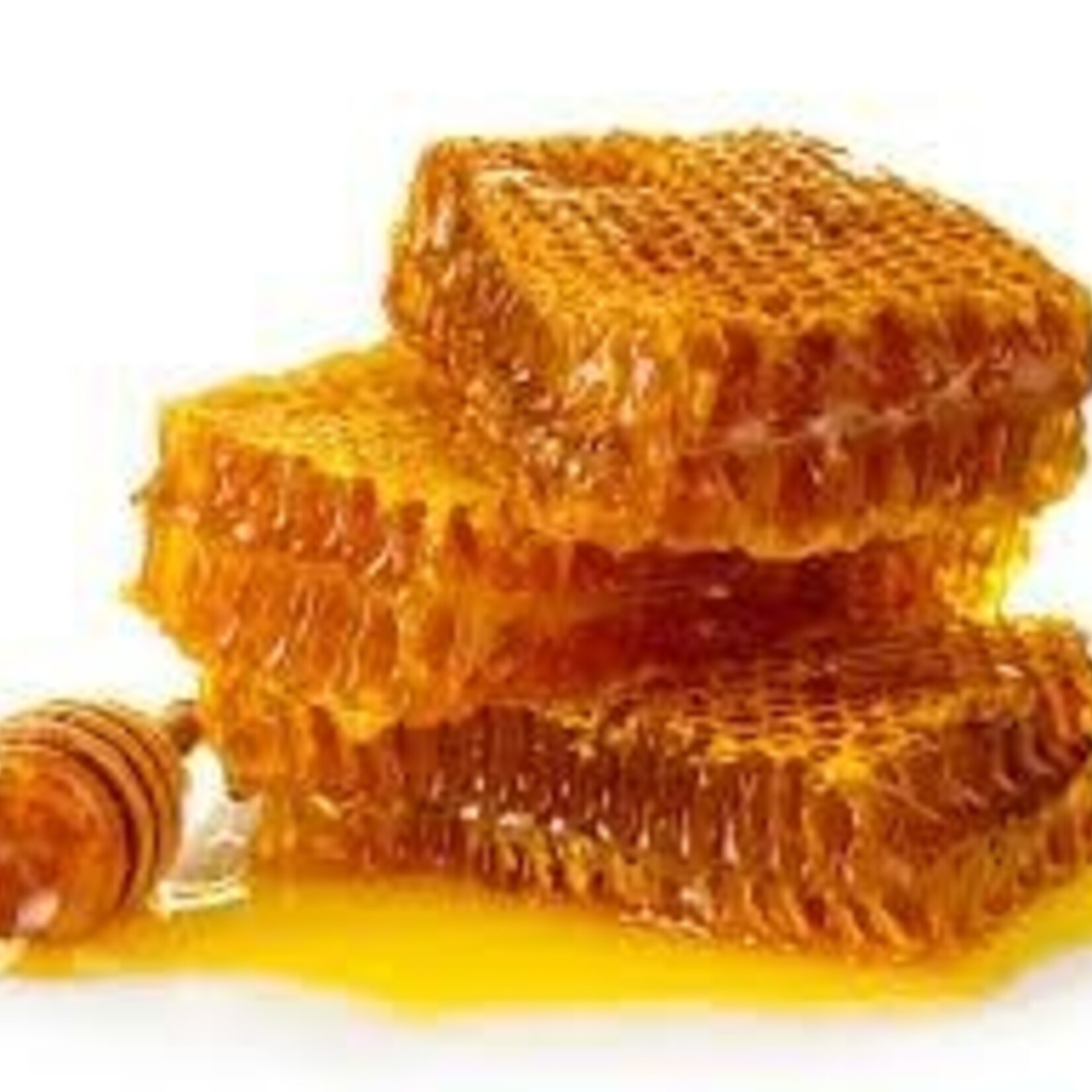 Trish's Honey Products Beeswax Lip Balm