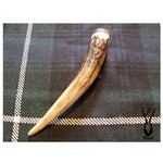 J Boult Antler Point Red Deer Kilt Pin