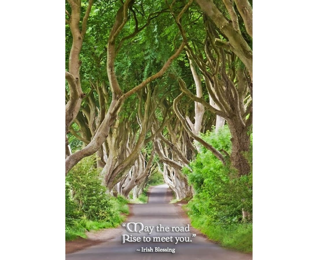 Mundo Images Birthday Card: Dark Hedges