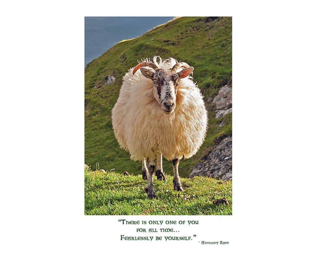 Mundo Images Irish Sheep Birthday Card