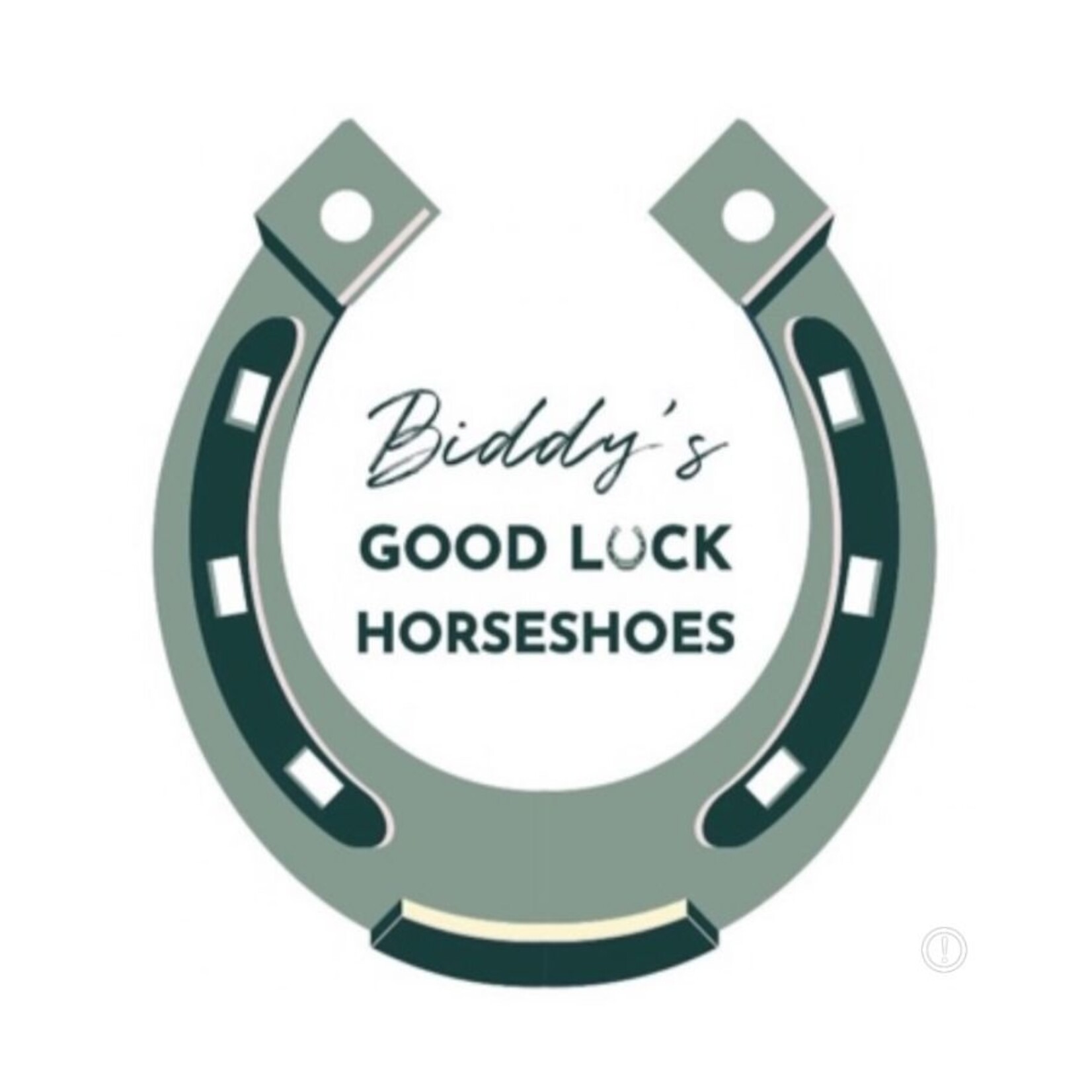 Biddy's Good Luck Horseshoes "Cead Mile Failte" Horseshoe