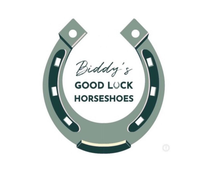 Biddy's Good Luck Horseshoes "Cead Mile Failte" Good Luck Horseshoe