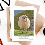 Mundo Images Irish Sheep Birthday Card
