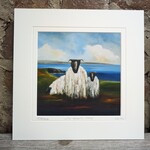Padraig McCaul Wild Atlantic Sheep - 12"x12" Mounted Print