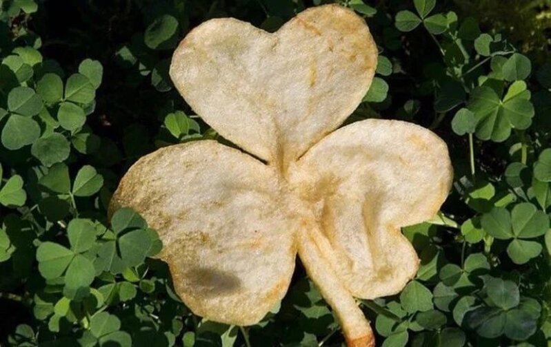 Keoghs Keogh's Shamrock and Sour Cream Chips 40g