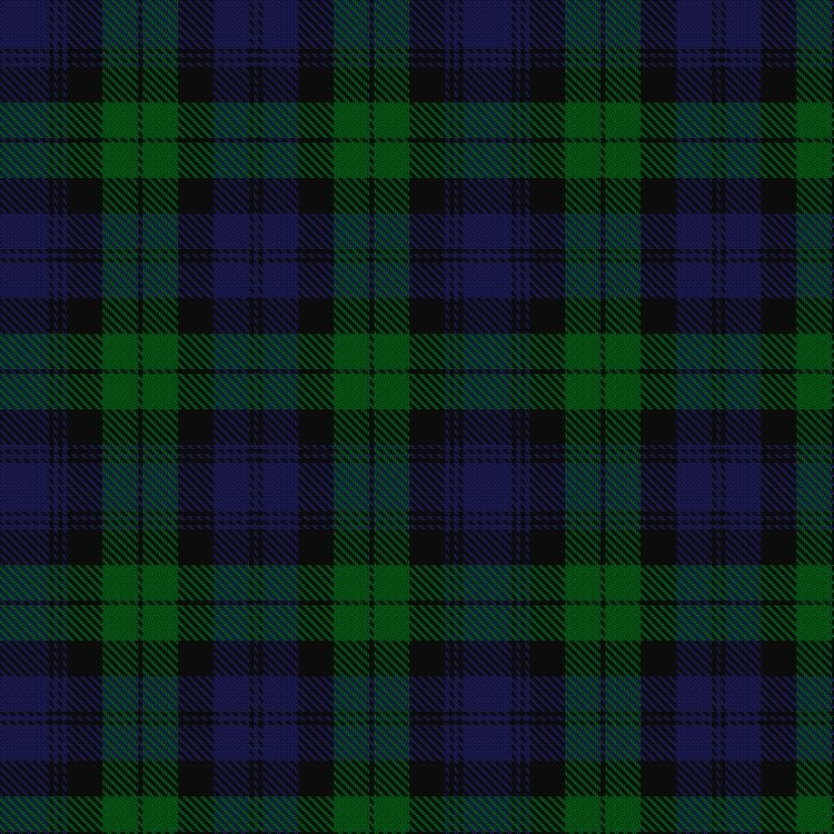 Scott's Highland Tartan Bow Tie & Hanky