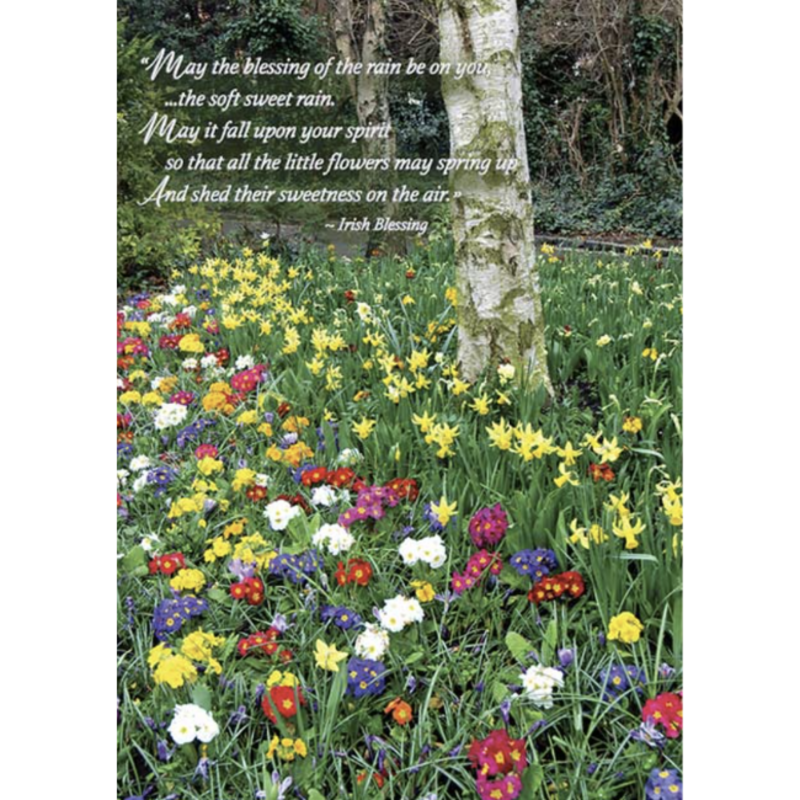 Mundo Images Get Well Card: Merrion Square