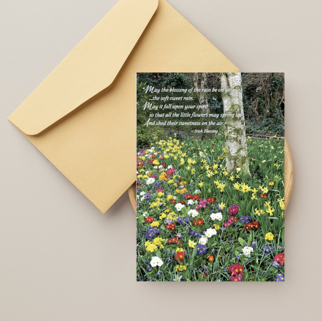 Mundo Images Get Well Card: Merrion Square