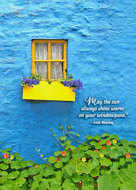 Mundo Images Get Well Card: Kinsale Blue House