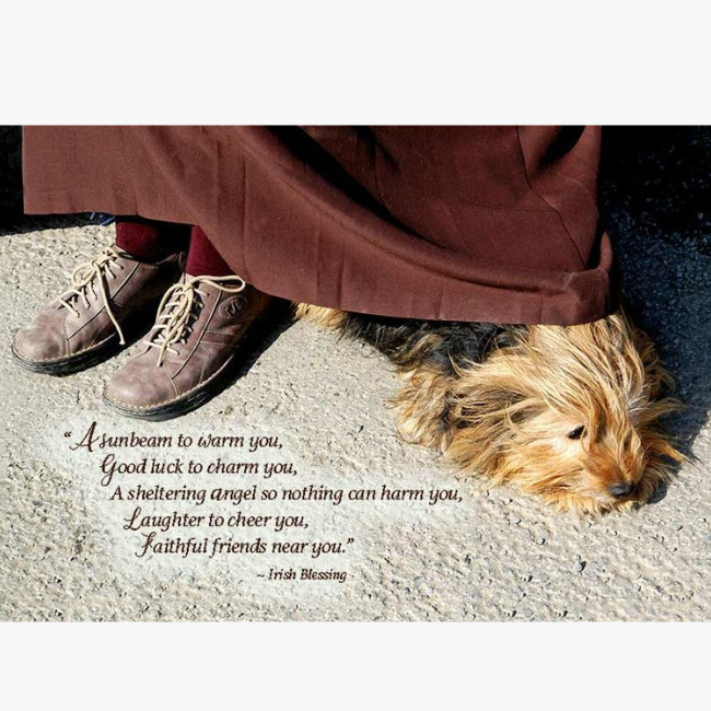 Mundo Images Faithful Friends Card