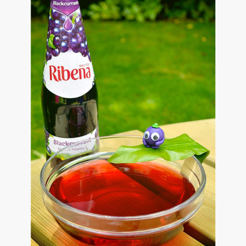 Ribena Blackcurrant  850ml(28.7 fl oz)