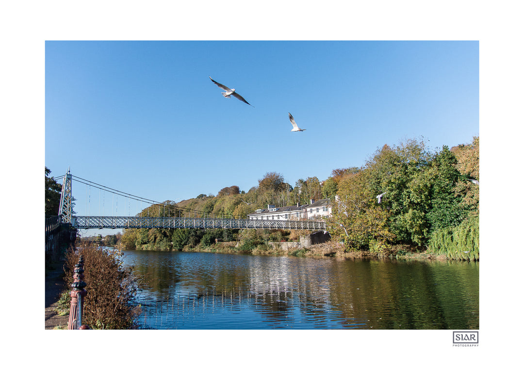 Siar Photography Cork 5 Card Multipack (Blank)