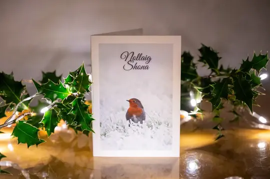 Siar Photography Christmas Card (Blank): Robin