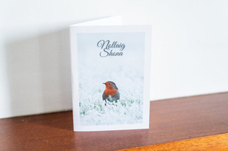 Siar Photography Christmas Card(Blank): Robin