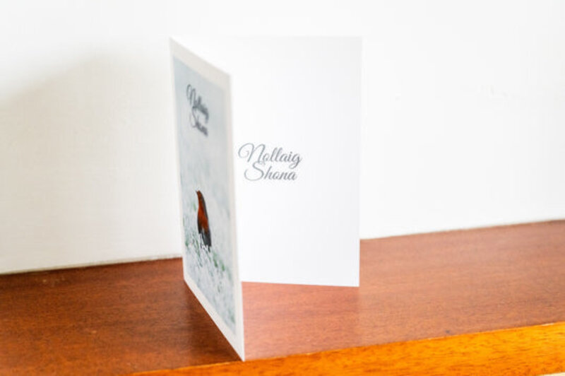 Siar Photography Christmas Card(Blank): Robin