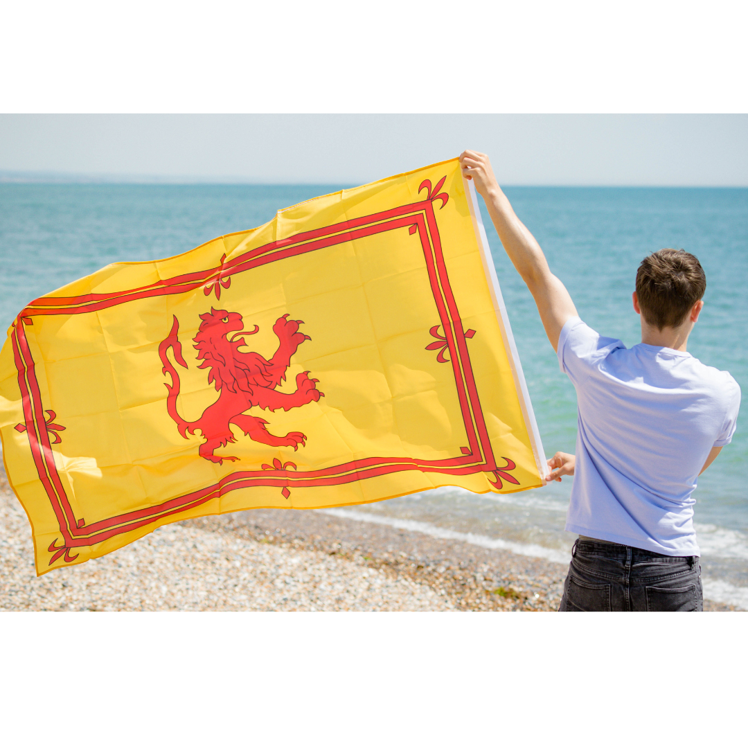 Scotland Nylon Flag 3x5: Rampant