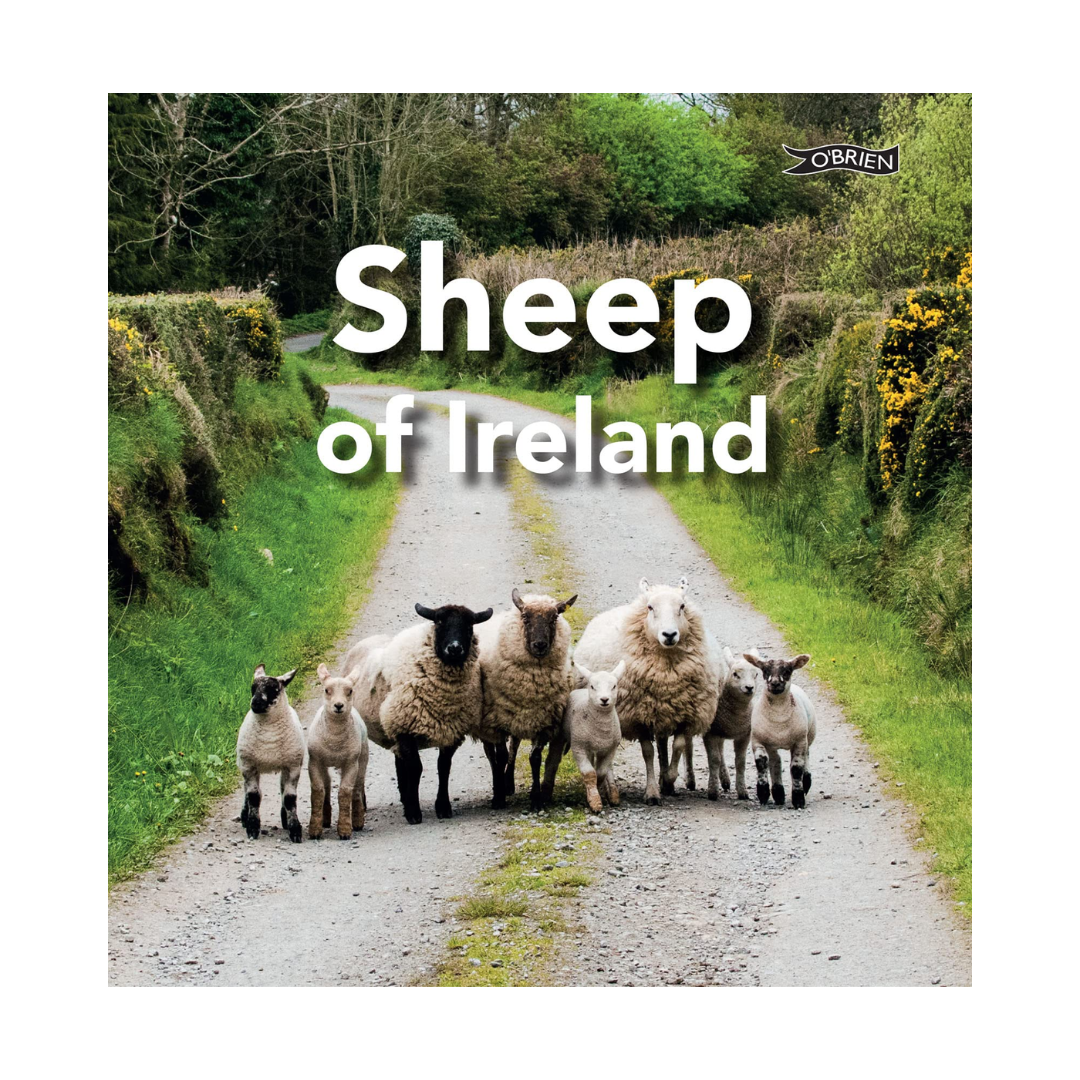 Celtic Books Sheep of Ireland Book