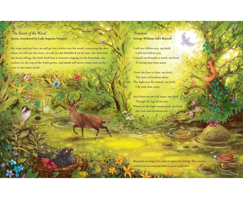 Celtic Books Tread Softly - Classic Irish Poems for Children