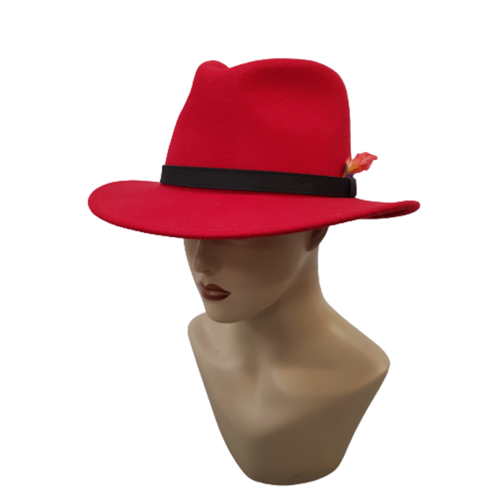 Shandon Wool Felt Hat