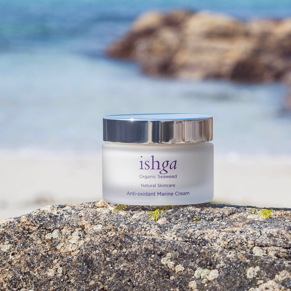 Ishga Anti-oxidant Marine Face Cream 50ml