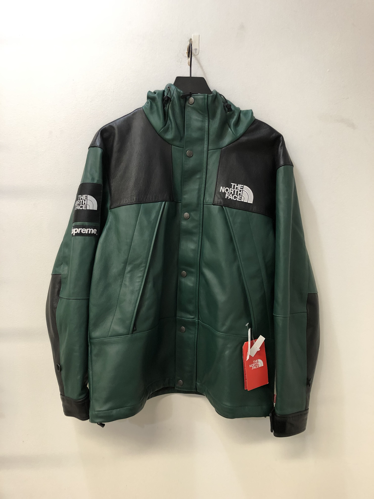 the north face leather