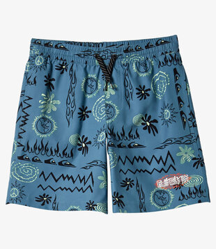 Teen Boys Radical Volley Swim Shorts