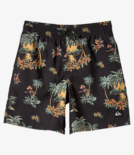 Teen Boys Everyday Mix Swim Short