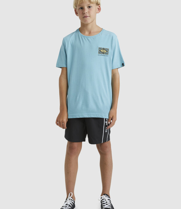QUIKSILVER Teen Boys Back Flash T-Shirt