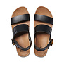 Vista Hi Buckle